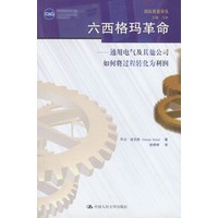 六西格玛革命：通用电气及其他公司如何将过程转化为利润