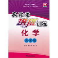 实验班培优训练 化学九年级