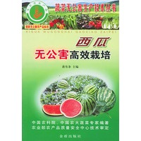 西瓜无公害高效栽培——蔬菜无公害生产技术丛书