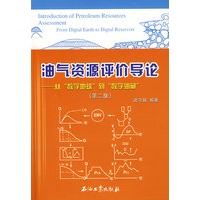 油气资源评价导论——从“数字地球”到数字油藏“