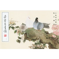 荣宝斋画谱(四五):工笔花鸟部分