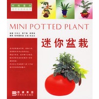 迷你盆栽/时尚室内花艺生活坊丛书