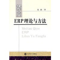 煤炭企业ERP理论与方法