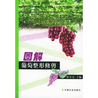 图解葡萄整形修剪