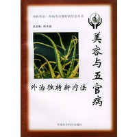 美容与五官病外治独特新疗法——内病外治·外病外治独特新疗法丛书