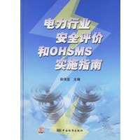 电力行业安全评价和OHSMS实施指南