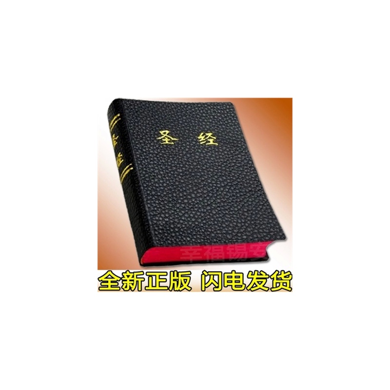 【全新正版基督教圣经书 中文 和合本新旧约 6