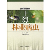 上海林业病虫