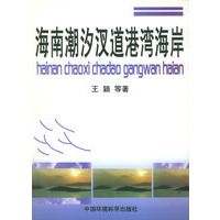 海南潮汐汊道港湾海岸