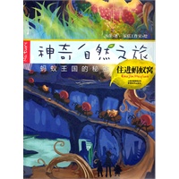 神奇自然之旅-住进蚂蚁窝