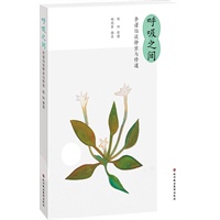 呼吸之间（胡因梦作序推荐，秘而不传丹道绝学的首次披露）