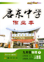 启东中学作业本：九年级物理 下（人教版）（附中考专题训练）