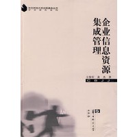 企业信息资源集成管理