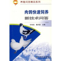 肉鸽快速饲养新技术问答