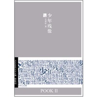 少年残像(POOKII)