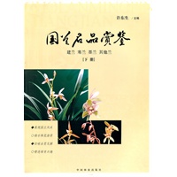 国兰名品赏鉴(下册)(11)