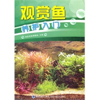 观赏鱼养护入门