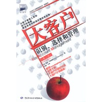 大客户:识别、选择和管理