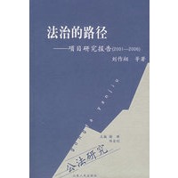 法治的路径
