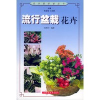 流行盆栽花卉——花卉爱好者丛书
