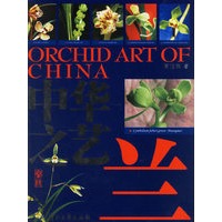 中华之艺 兰