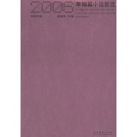 2006年短篇小说新选