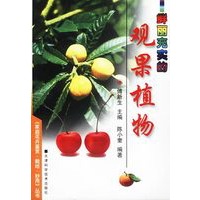 观果植物