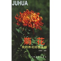 我的养花经验采撷 菊花