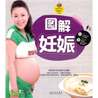 图解妊娠