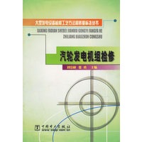 汽轮发电机组检修/大型发电设备检修工艺方法和质量标准丛书