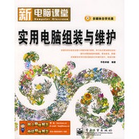 实用电脑组装与维护(附光盘)
