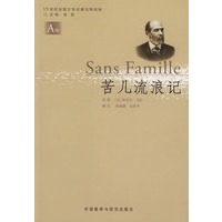 苦儿流浪记