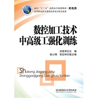 数控加工技术中、高级工强化训练