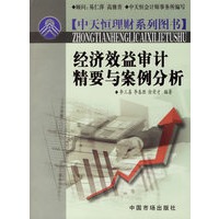 经济效益审计精要与案例分析