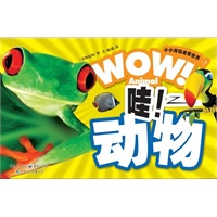 哇！动物