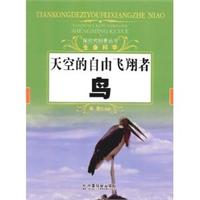 天空的自由飞翔者：鸟