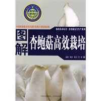 图解杏鲍菇高效栽培