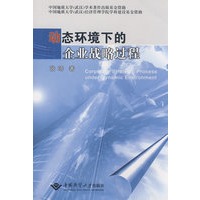 动态环境下的企业战略过程