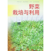 野菜栽培与利用
