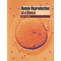 人类生殖一览Human Reproduction at a Glance
