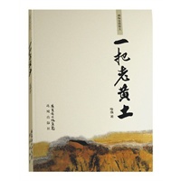 现代性现象学：与西方马克思主义者的对话
