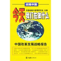 今天我们在做什么：中国改革发展战略报告