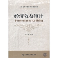 经济效益审计（高等教育会计审计精品）