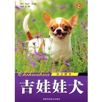 吉娃娃犬 天之轿子