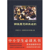 中小学生必读丛书：钢铁是怎样炼成的(电子书)