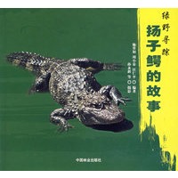 绿野寻踪——扬子鳄的故事