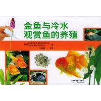 金鱼与冷水观赏鱼的养殖