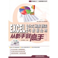 Excel2007公式、函数、图表与数据处理从新手到高手（全新版）（附1CD）