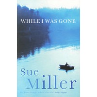 WHILE I WAS GONE
