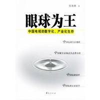 眼球为王：中国电视的数字化、产业化生存